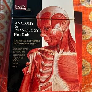 Anatomy & Physiology flash cards